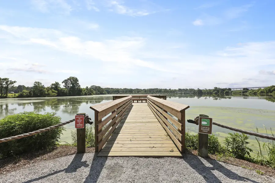 417 Tulip Poplar Drive, Moncks Corner, SC 29461 - Image #3