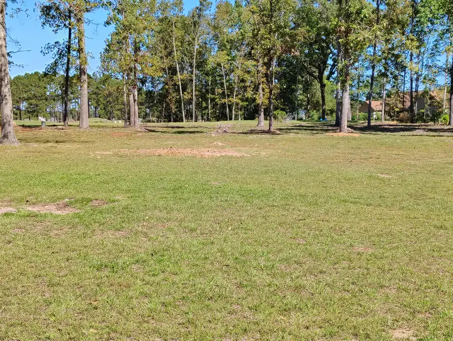 44 Ridge Lake Drive, Manning, SC 29102 - #3