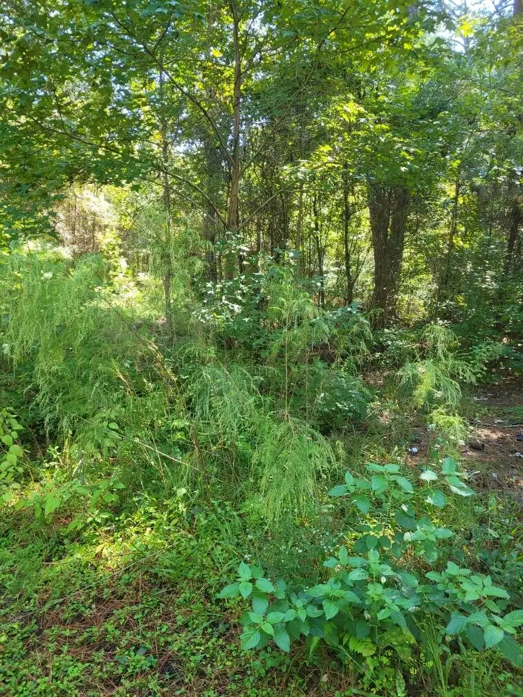 2814 Highway 174, Edisto Island, SC 29438 - Image #2