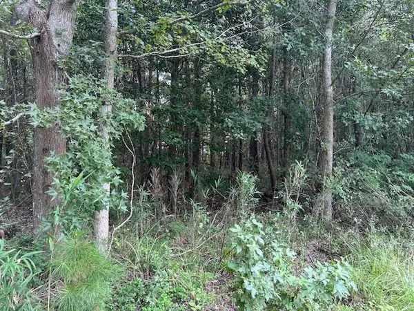 Lot 6 Sheep Island Road, Summerville, SC 29486