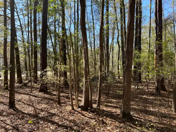 0 Ridge Road, Cheraw, SC 29520