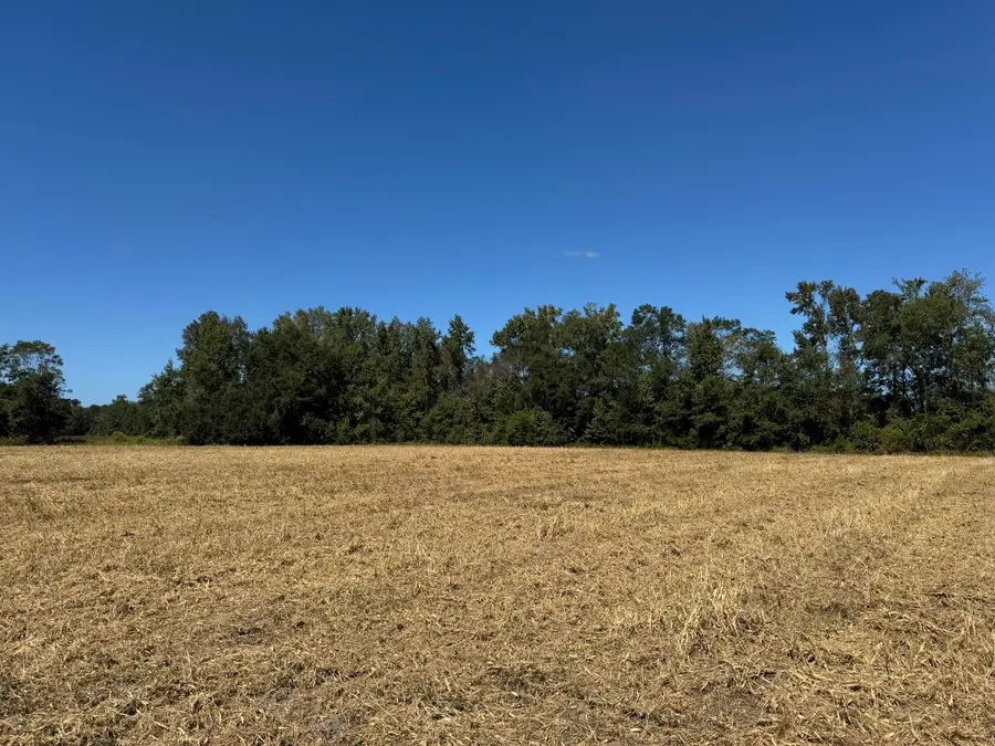 0 Clarks Hill Drive #5, Saint George, SC 29477 - #2