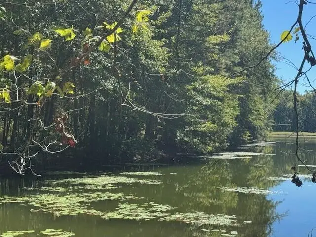 0 Poplar Creek Drive, Elloree, SC 29047 - Image #1