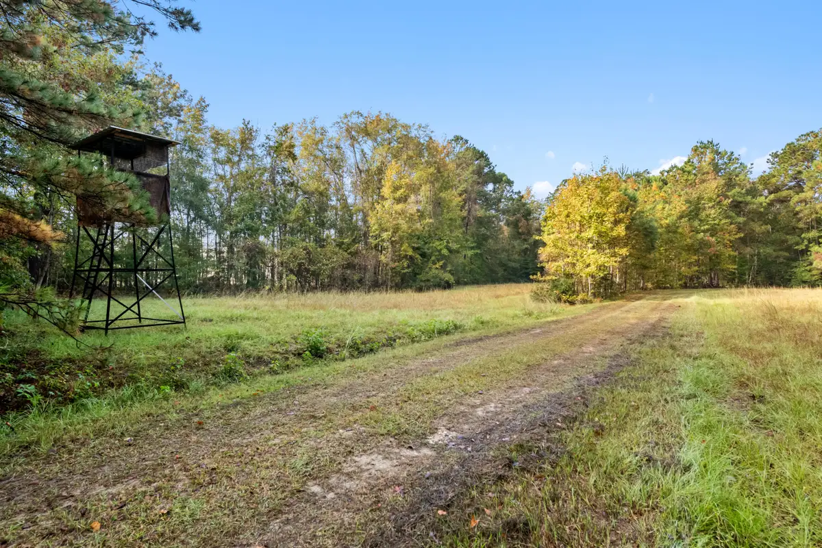 527 Acres Spring Grove Road, Adams Run, SC 29426 - #1