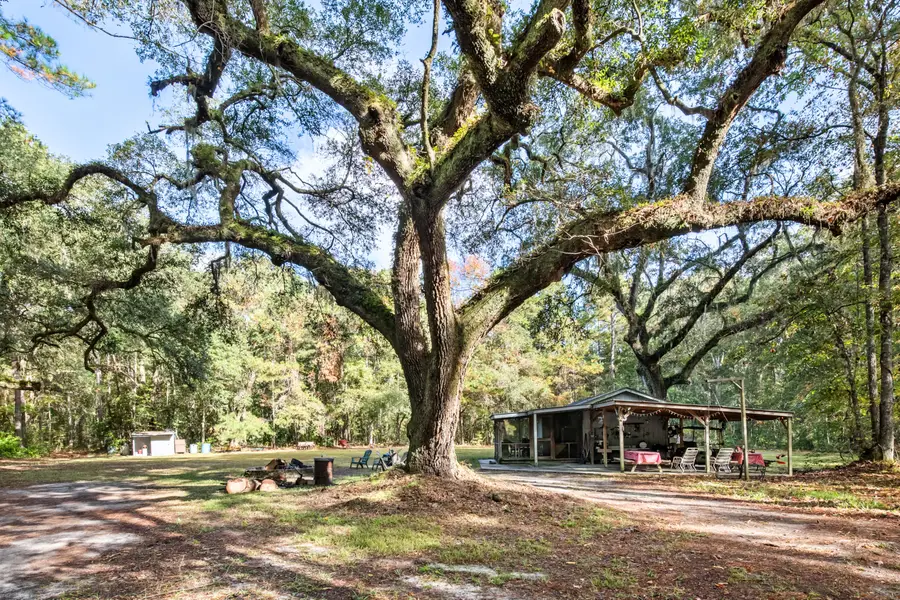 527 Acres Spring Grove Road, Adams Run, SC 29426 - #3