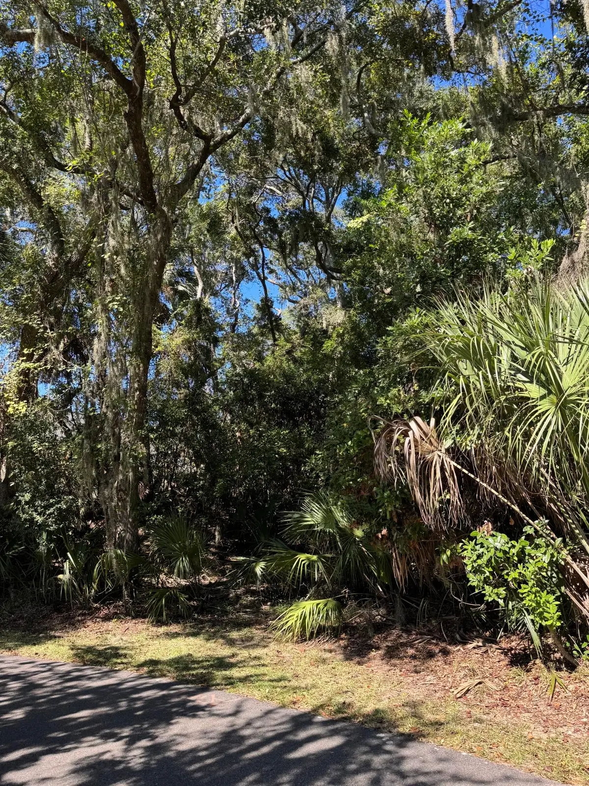 0 King Cotton Road, Edisto Beach, SC 29438 - Image #1