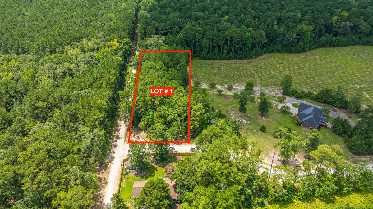 001 Southern Acres Lane, Summerville, SC 29486 - #1