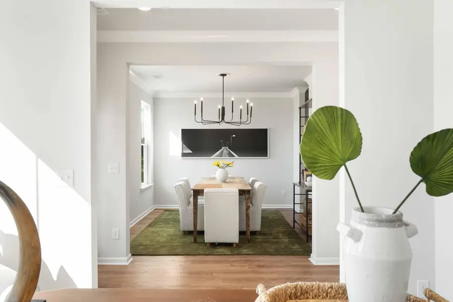 7011 Pumpkinseed Drive, Johns Island, SC 29455 - Image #2