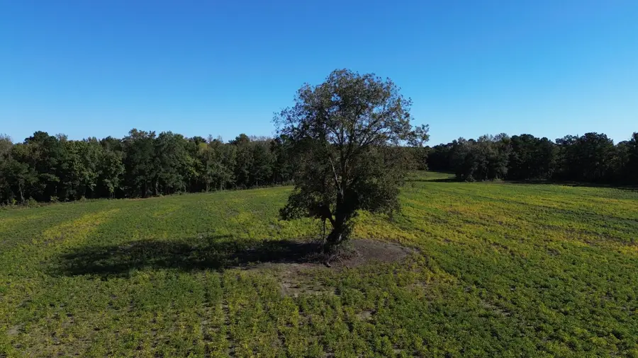 0 Mcgirt Swamp Road, Lake City, SC 29560 - Image #2