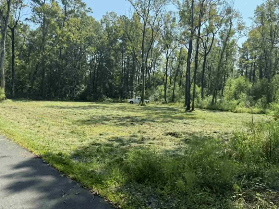 133 Boykin Lane, Ridgeville, SC 29472 - Image #2