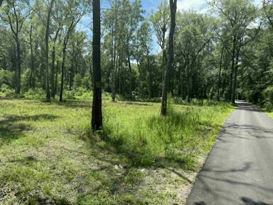 133 Boykin Lane, Ridgeville, SC 29472 - Image #3