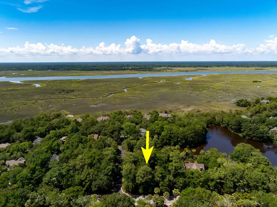 124 Sawgrass Lane, Kiawah Island, SC 29455 - Image #3
