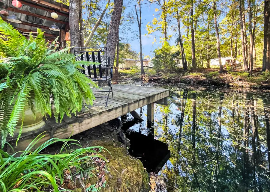 137 Catfish Court, Ridgeville, SC 29472 - #2