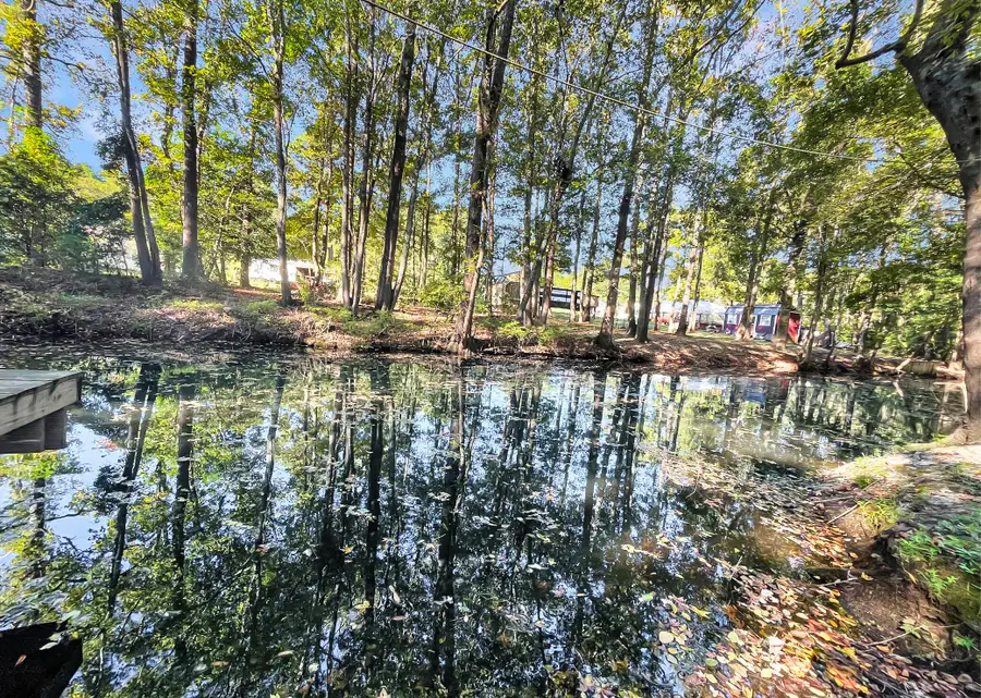 137 Catfish Court, Ridgeville, SC 29472 - #3