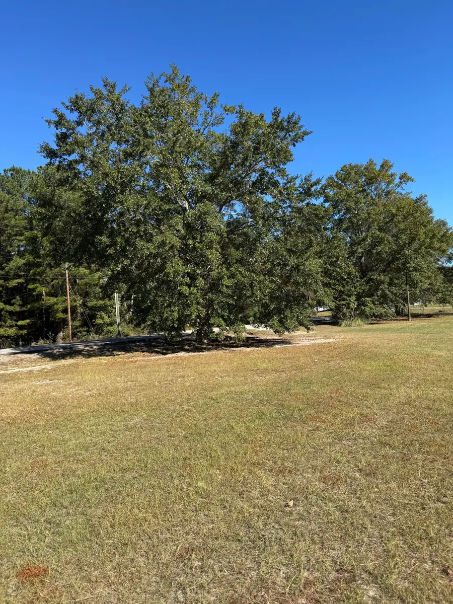 109 Hillock Court, Orangeburg, SC 29115 - Image #3