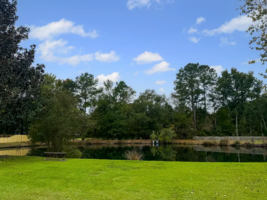 225 Evesham Drive, Summerville, SC 29485 - Image #3