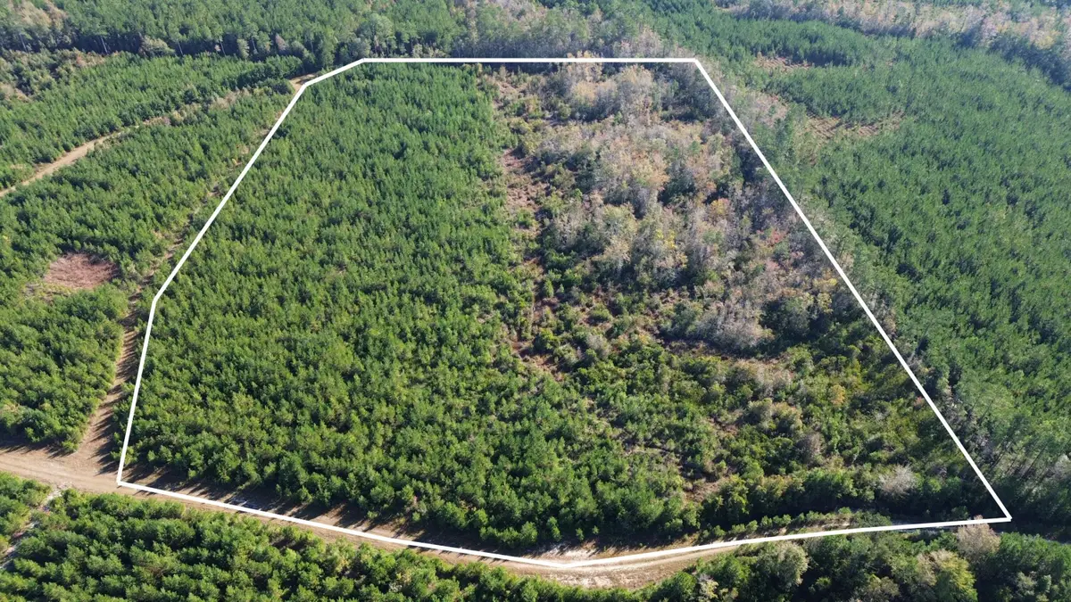 16 Hwy 311, Cross, SC 29436 - #1