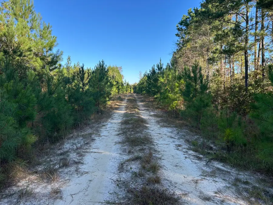 16 Hwy 311, Cross, SC 29436 - #2