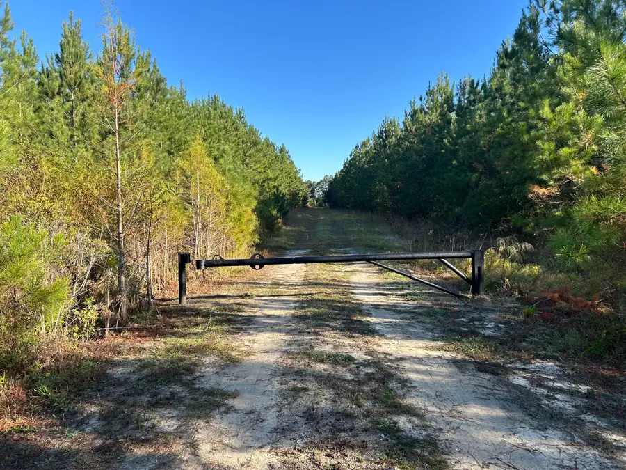 16 Hwy 311, Cross, SC 29436 - #3