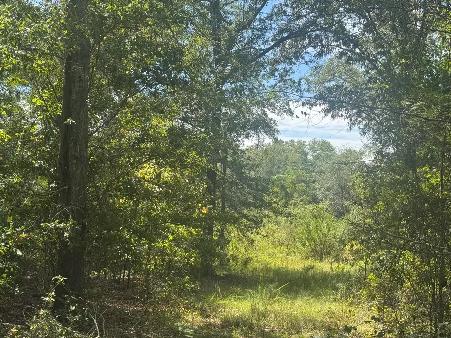 1571,1651 Creek Mill Road, North, SC 29112 - #3