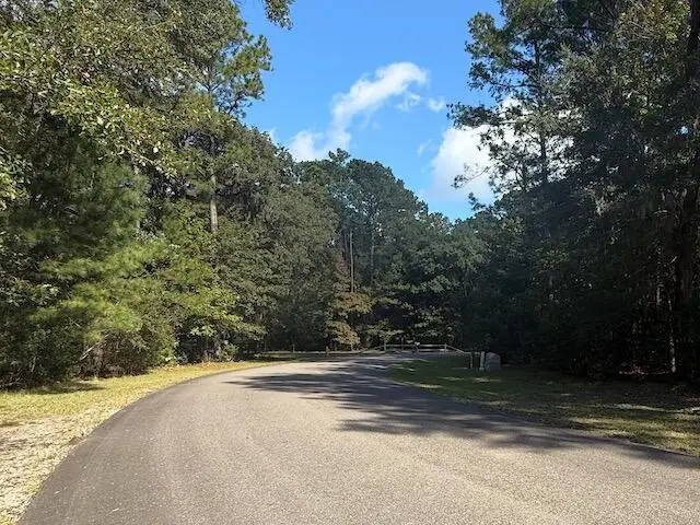 3934 Gnarled Oaks Lane, Johns Island, SC 29455 - #2