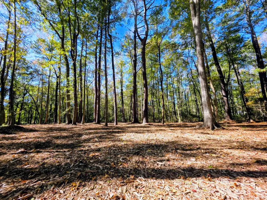 3047 Fickling Hill Road #C-1, Johns Island, SC 29455 - #3