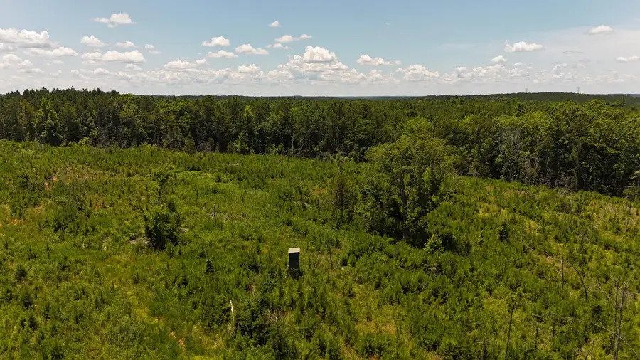 0 Halsellville Rd Road, Chester, SC 29706 - #3