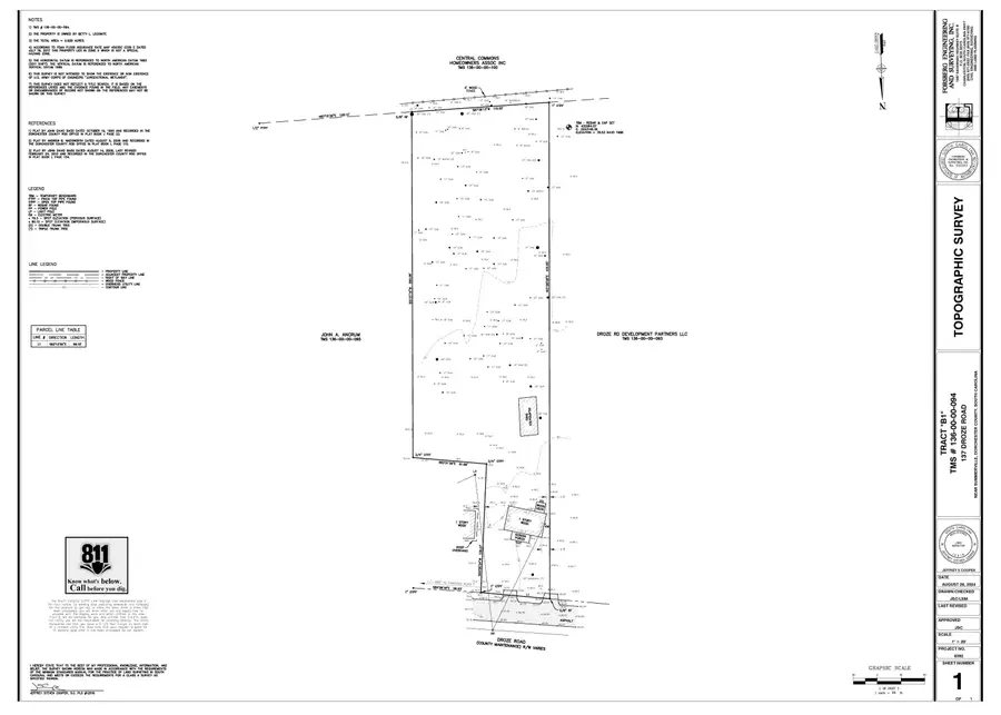 137 Droze Road, Summerville, SC 29483 - Image #3
