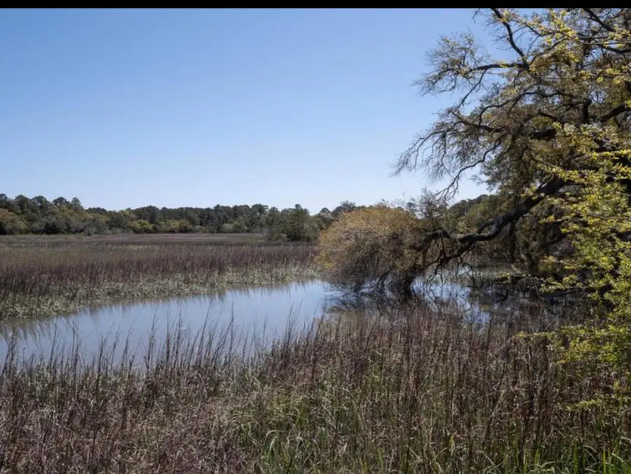 Lot 22 Hopkins Pl Drive, Edisto Island, SC 29438 - Image #3