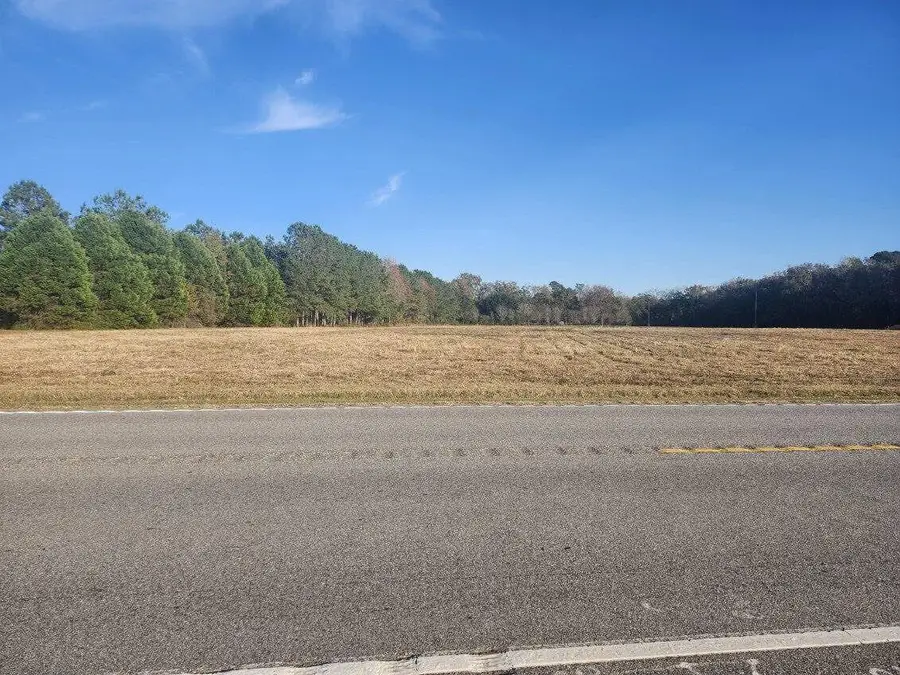 0 Broxton Bridge Road, Bamberg, SC 29003 - #3