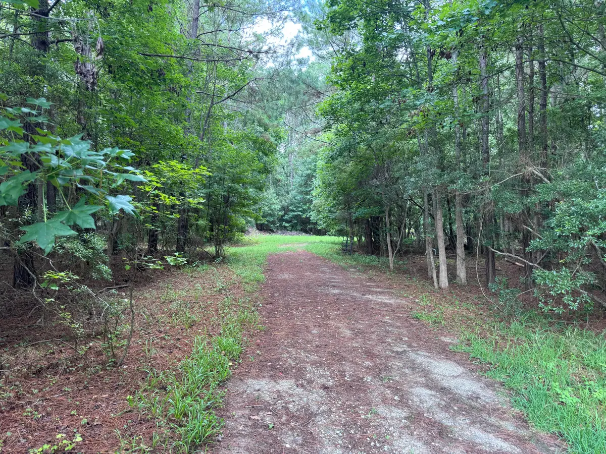 2251 Turkey Hill Road, Johns Island, SC 29455 - #1