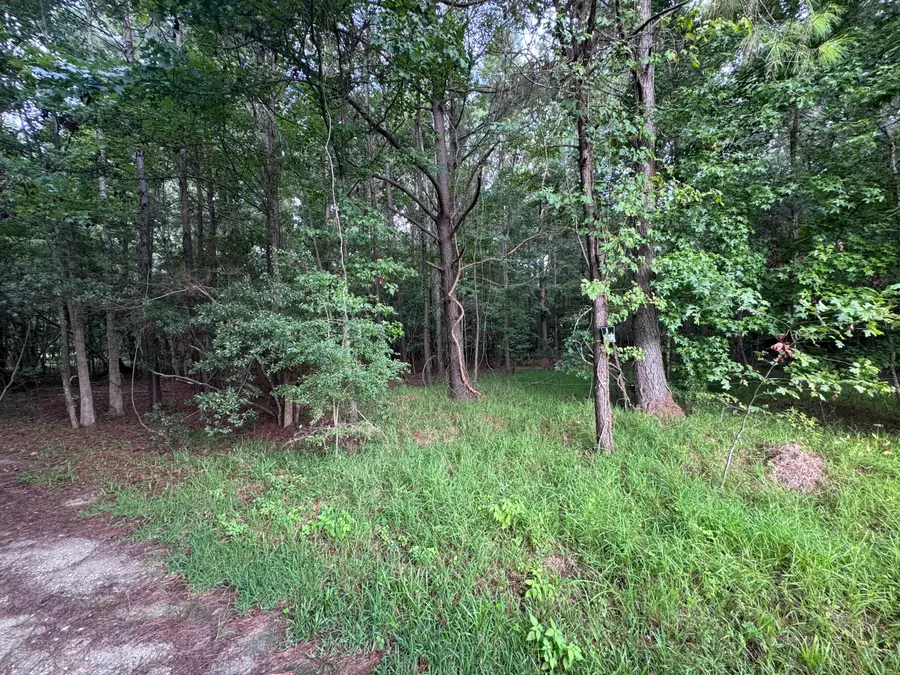 2251 Turkey Hill Road, Johns Island, SC 29455 - #3
