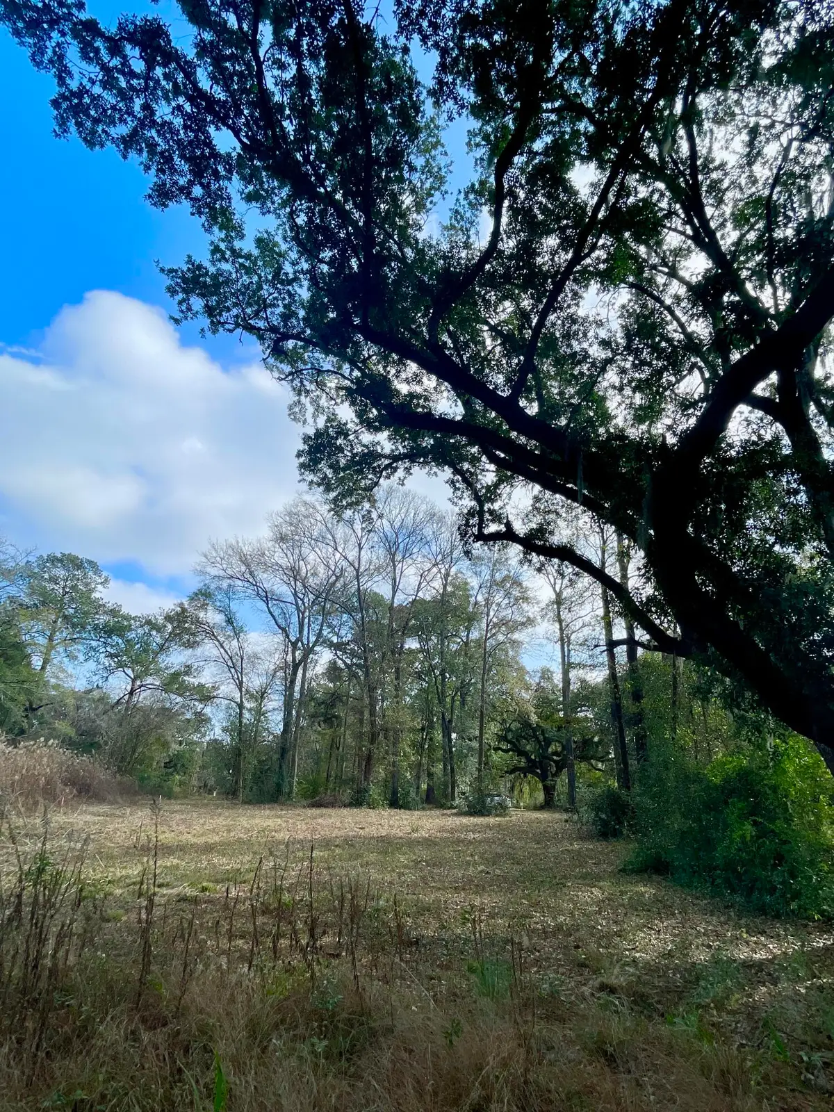 1962 Bradham Road, Charleston, SC 29412 - #1