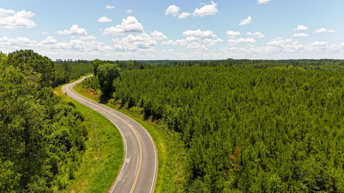 0 Ashford Ferry Road, Chester, SC 29706 - #1