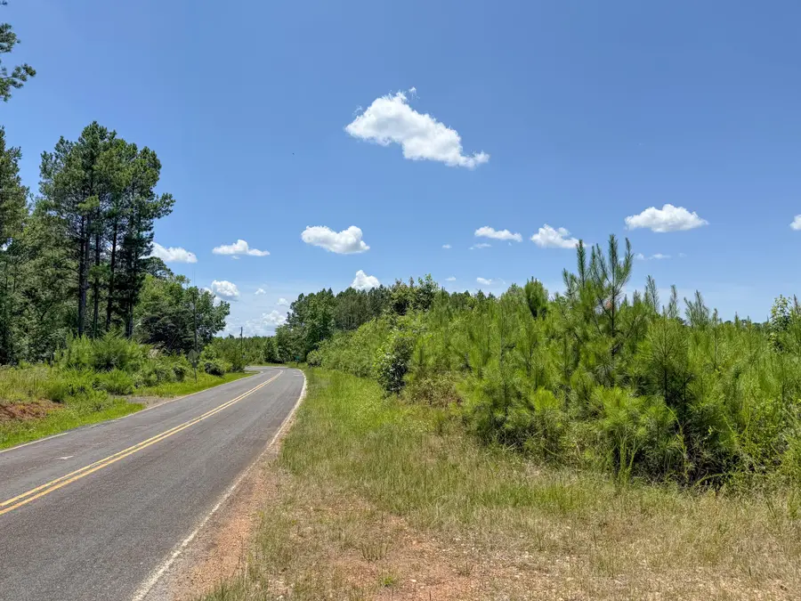 0 Ashford Ferry Road, Chester, SC 29706 - #2