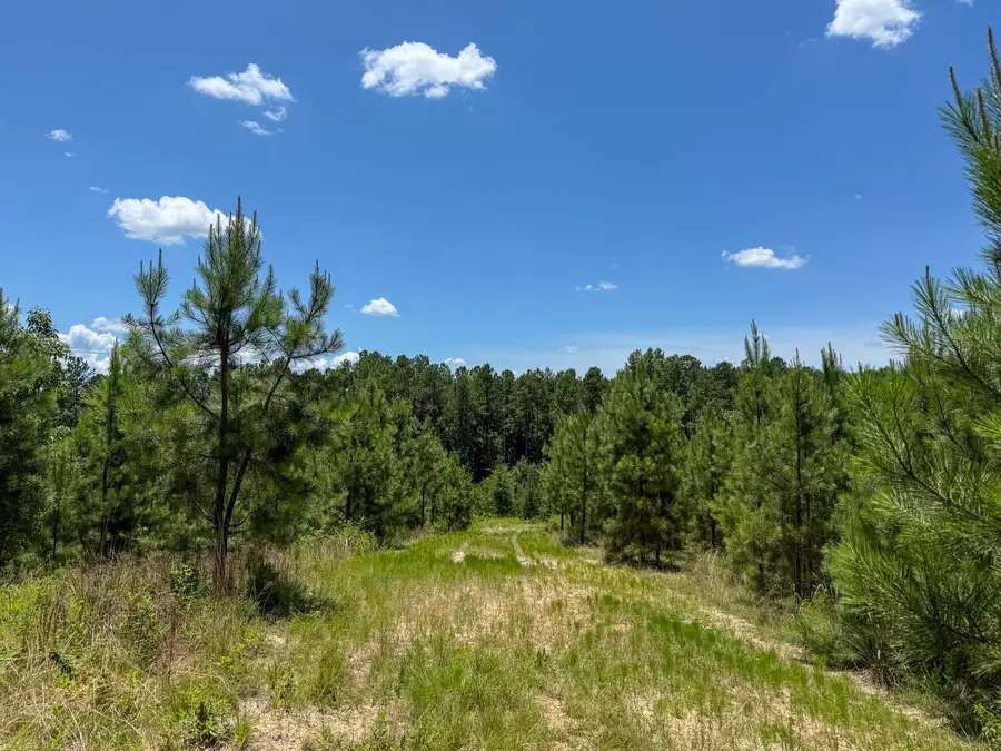 0 Ashford Ferry Road, Chester, SC 29706 - #3