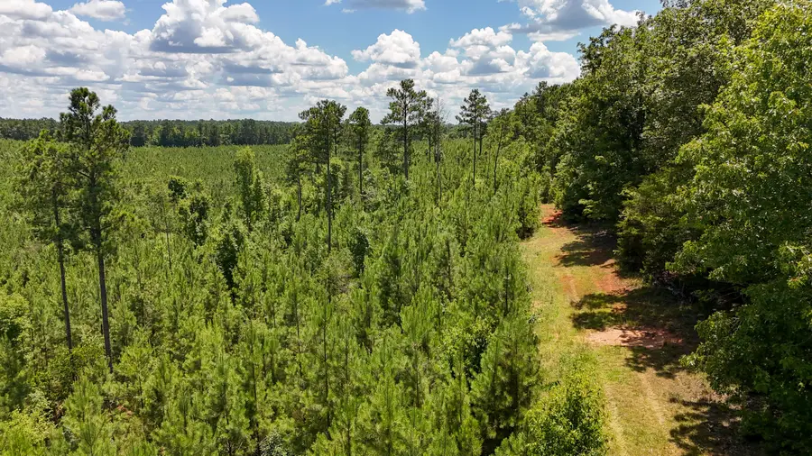 0 Cool Branch Rd, Chester, SC 29706 - #2