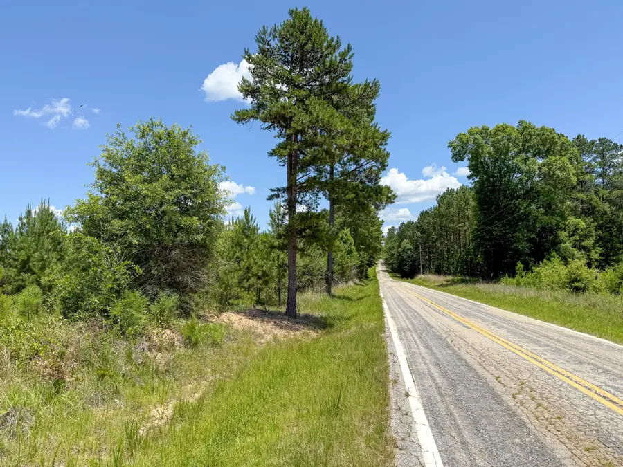 0 Cool Branch Rd, Chester, SC 29706 - #3