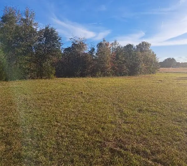 01 Joby Lane, Eutawville, SC 29048