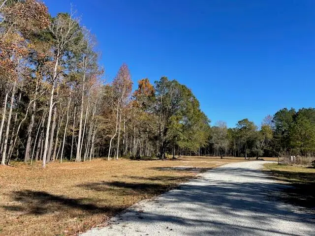 608 Bc Estates Lane, Cross, SC 29436 - #2