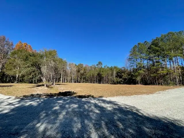 608 Bc Estates Lane, Cross, SC 29436 - #3