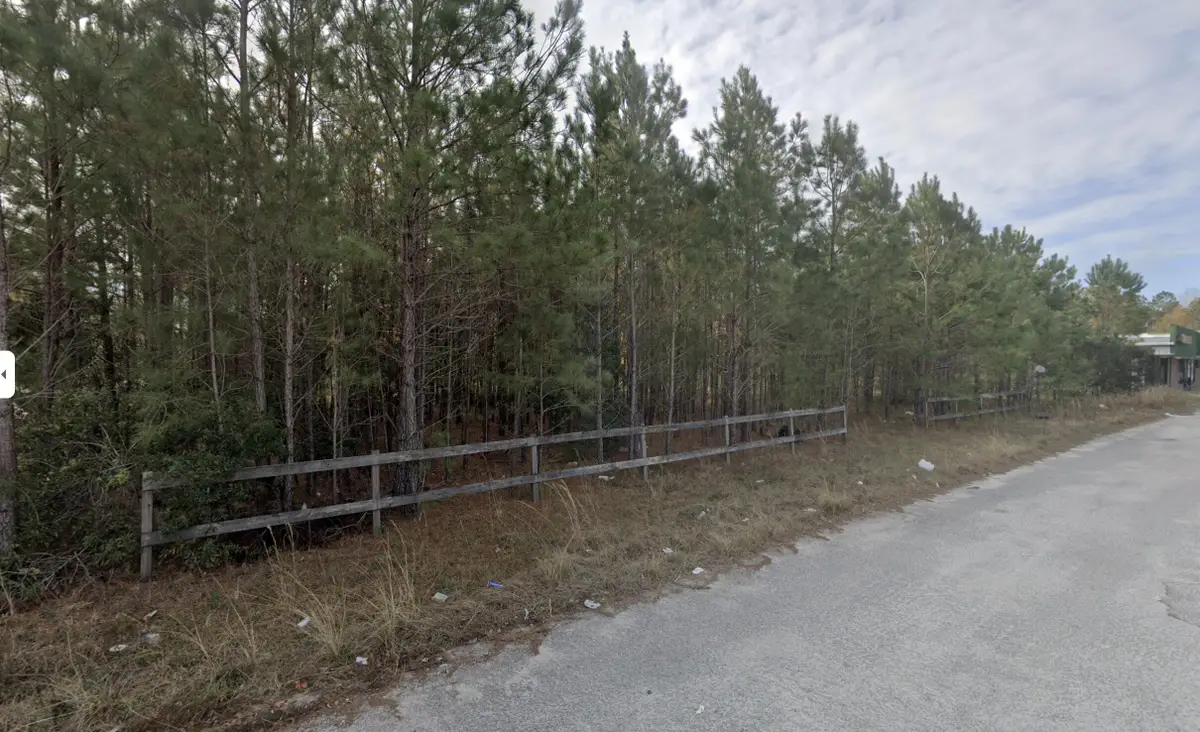 00 E Elm Street, Hampton, SC 29924 - #1