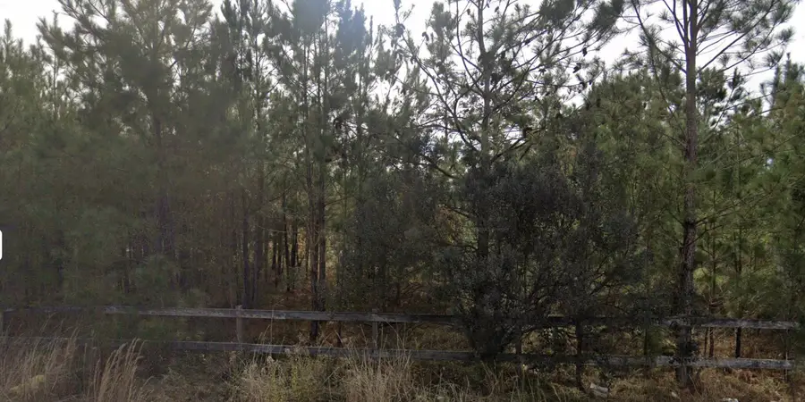 00 E Elm Street, Hampton, SC 29924 - #3