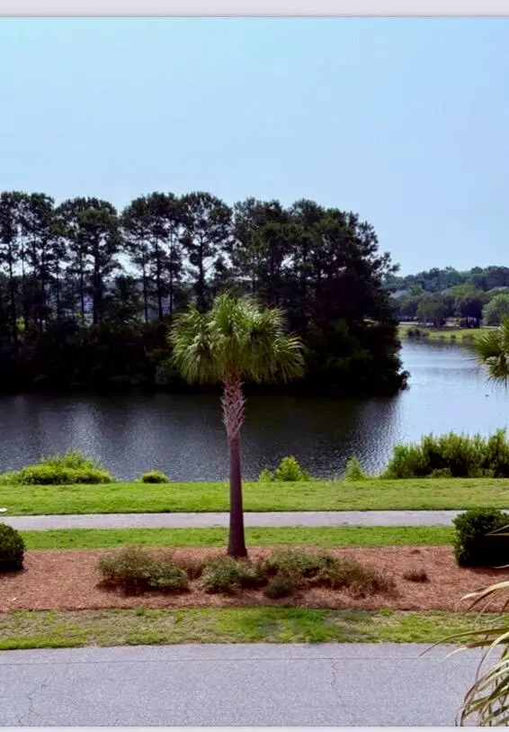 2919 Waterleaf Road, Johns Island, SC 29455 - #3