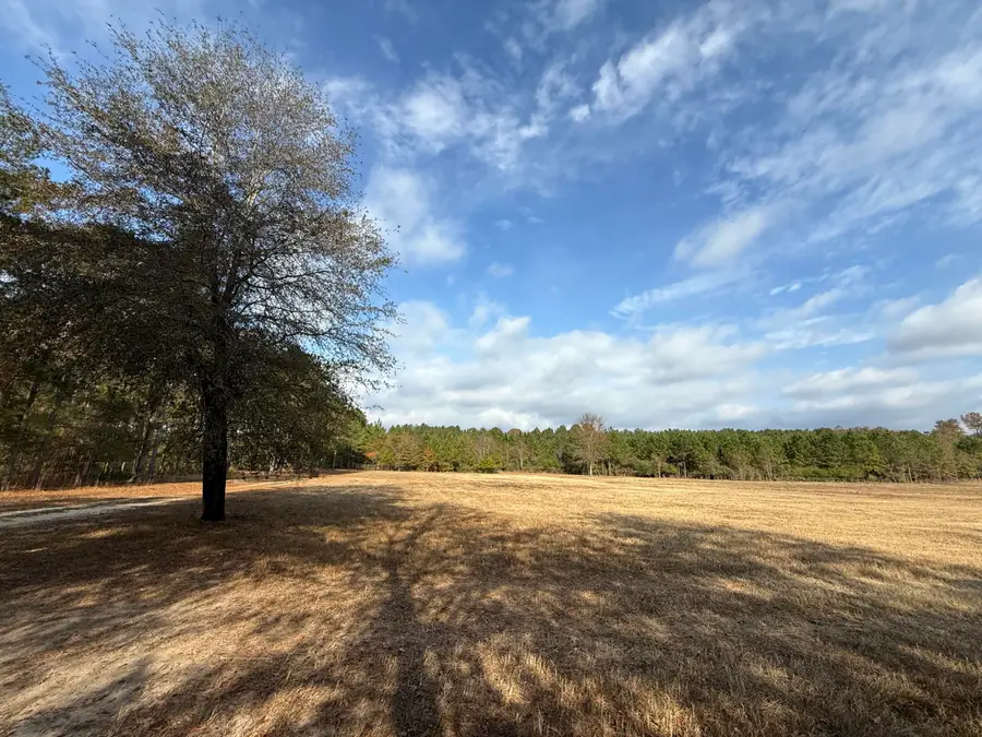 7498 Sc 39 Highway, Williston, SC 29853 - #3