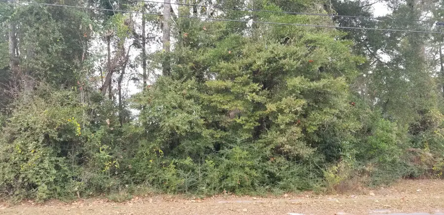 00000 N Lemacks Street, Walterboro, SC 29488 - Image #3