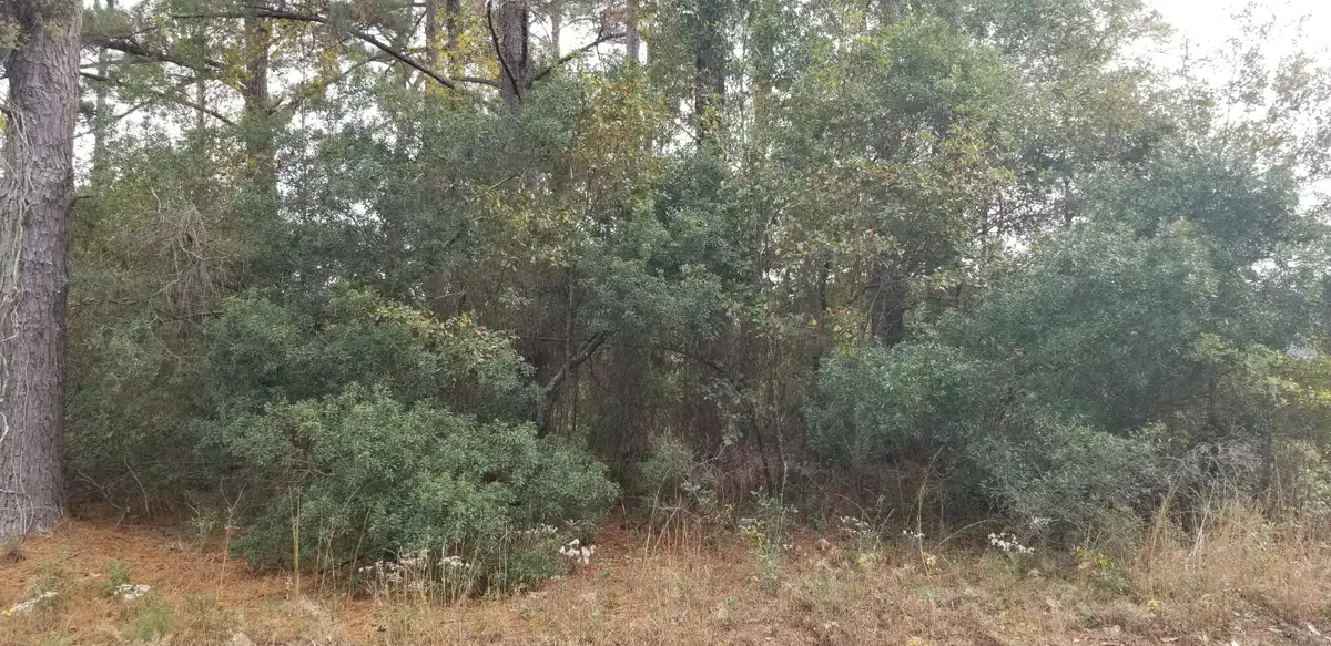 0 Rearden Avenue, Walterboro, SC 29488 - Image #1