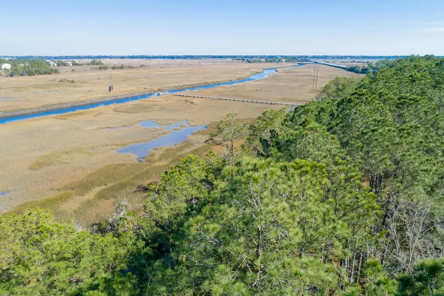 1722 Vireo Court, Johns Island, SC 29455 - Image #2