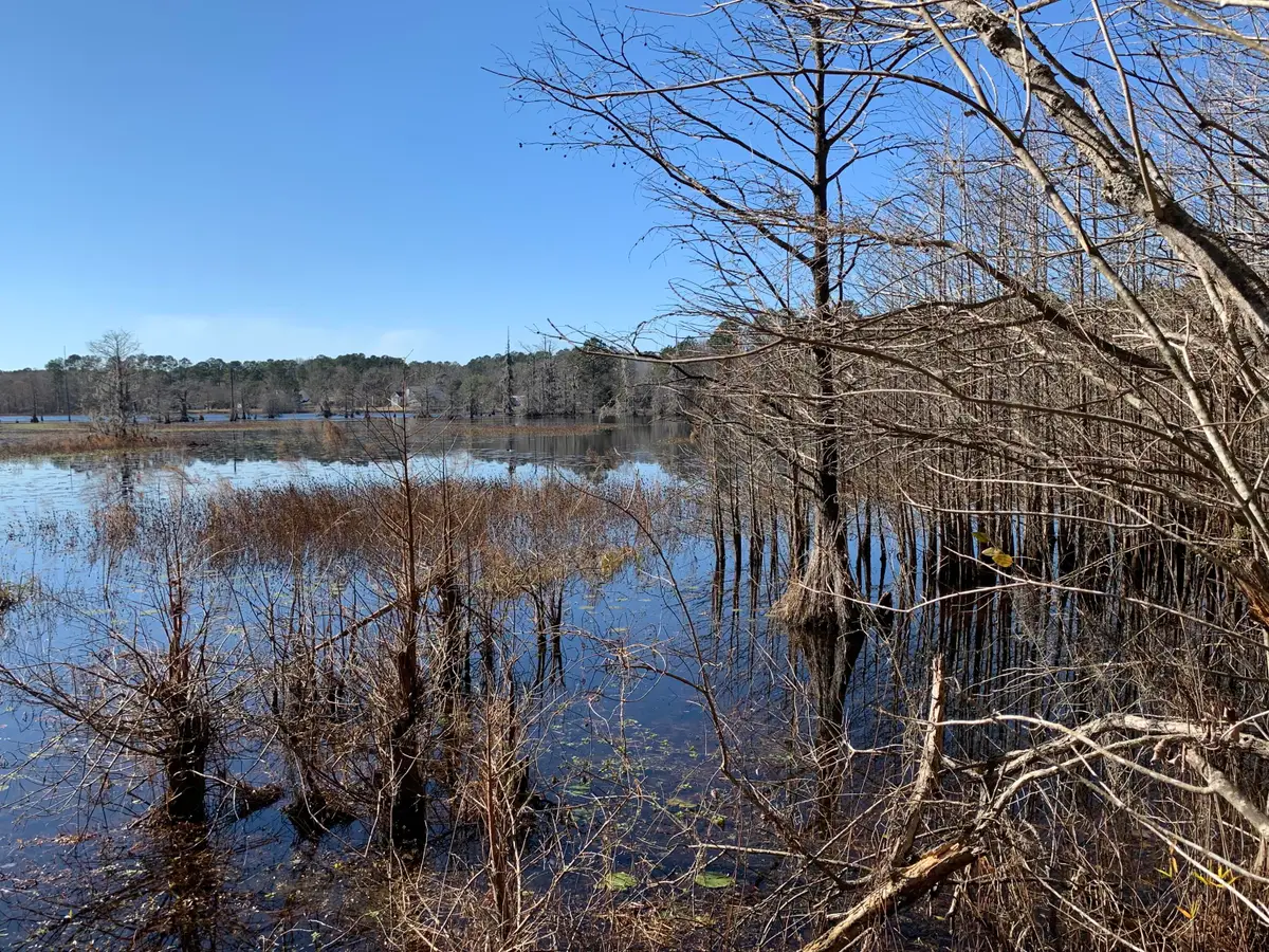 944 Hunt Drive, Huger, SC 29450 - Image #1