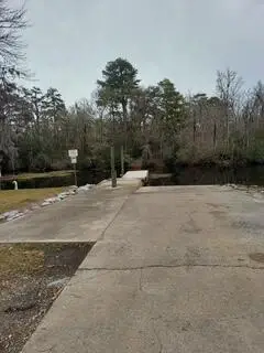 Lot 211 Prices Bridge Lane, Walterboro, SC 29488 - #2